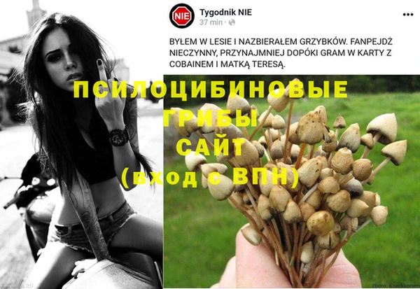 a pvp Алексин