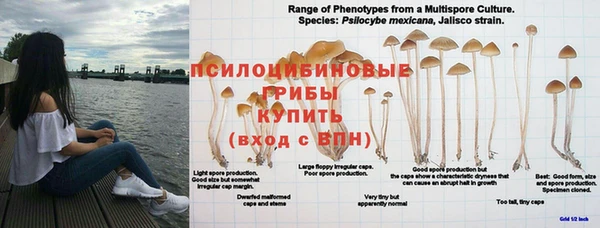 a pvp Алексин
