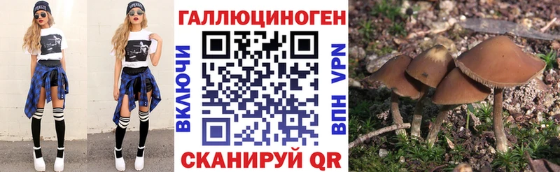 Псилоцибиновые грибы Psilocybe  где продают наркотики  Нея 